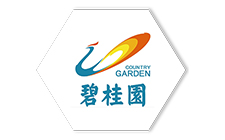 碧桂園
